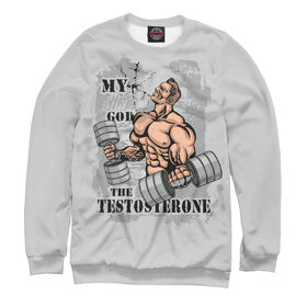 Мужской свитшот 3D с принтом My god the testosterone в Тюмени,  |  | Тематика изображения на принте: 