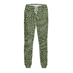 Мужские спортивные штаны с принтом Flowers Green в Белгороде,  |  | Тематика изображения на принте: 