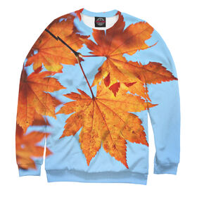 Мужской свитшот 3D с принтом Осенние кленовые листья в Кировске,  |  | Тематика изображения на принте: 