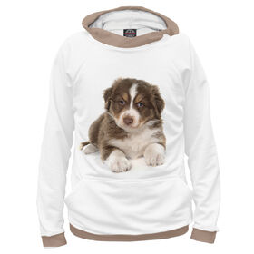 Худи 3D для мальчика с принтом Australian Shepherd , Сандвич,  плотность180 гр/кв. м.; Состав: 100% полиэстер | Ткань сандвич - ткань, специально разработанная для сублимационной печати. Снаружи это 100% полиэстеровый трикотаж, изнутри - 100% нежный хлопок.  Ткань мягкая, эластичная, хорошо держит форму. Ткань не мнется, гигиеничная, хорошо пропускает воздух, легко впитывает влагу, легко стирается и  быстро сохнет.  | 