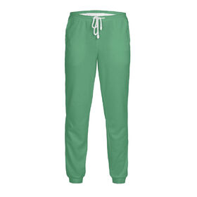 Мужские спортивные штаны с принтом Цвет Морской зеленый в Кировске,  |  | 