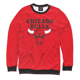 Мужской свитшот 3D с принтом Chicago Bulls в Кировске,  |  | 
