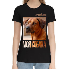 Женская хлопковая футболка с принтом Лучший друг - моя собака в Санкт-Петербурге,  |  | 