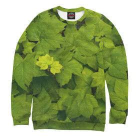 Мужской свитшот 3D с принтом Зелёные листья ,  |  | 