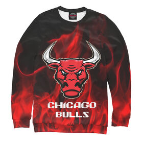 Мужской свитшот 3D с принтом Chicago Bulls ,  |  | 