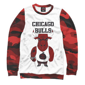 Женский свитшот 3D с принтом Chicago bulls в Тюмени,  |  | 