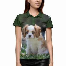 Женская рубашка поло 3D с принтом Собака в Кировске,  |  | 