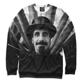 Мужской свитшот 3D с принтом Серж Танкян ,  |  | 
