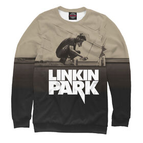 Мужской свитшот 3D с принтом Linkin Park Meteora ,  |  | Тематика изображения на принте: 