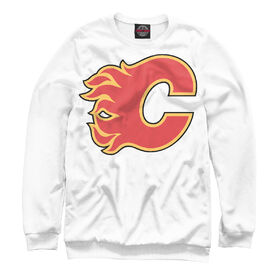Мужской свитшот 3D с принтом Calgary Flames ,  |  | 