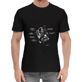 Мужская хлопковая футболка с принтом Строение мозга кота в Тюмени,  |  | 
