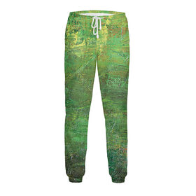Мужские спортивные штаны с принтом Холст зелень в Кировске,  |  | 
