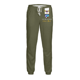 Мужские спортивные штаны с принтом FAR (Cuban Air Forces) в Кировске,  |  | Тематика изображения на принте: 