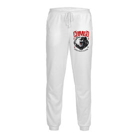 Мужские спортивные штаны с принтом Самбо в Кировске,  |  | Тематика изображения на принте: 