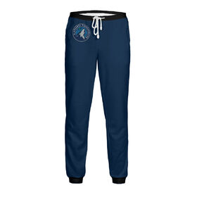 Мужские спортивные штаны с принтом Minnesota Timberwolves в Кировске,  |  | Тематика изображения на принте: 
