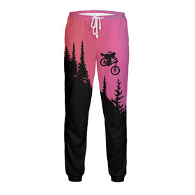 Мужские спортивные штаны с принтом Downhill Rider в Петрозаводске,  |  | 