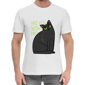 Мужская хлопковая футболка с принтом Are You Kitten Me в Петрозаводске,  |  | 